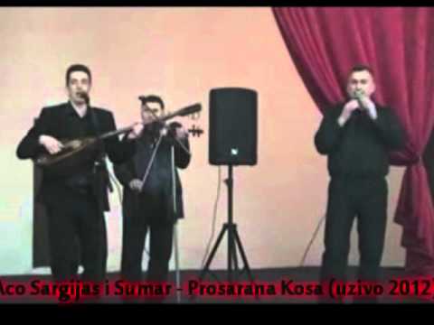 Aco Sargijas i Sumar - Prosarana Kosa (uzivo 2012)