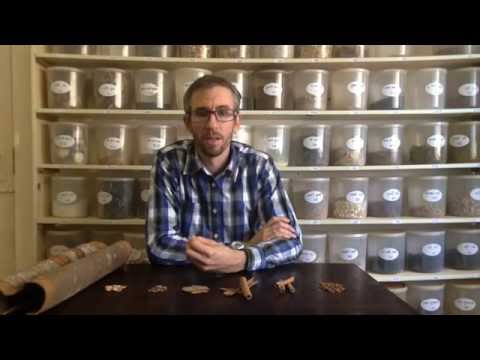 download lagu mp3 mp4 Gui Zhi, download lagu Gui Zhi gratis, unduh video klip Gui Zhi