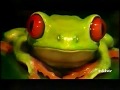 ZDF Discovery Channel Intro 1998