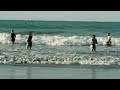 SHARK FULL MOVIE
