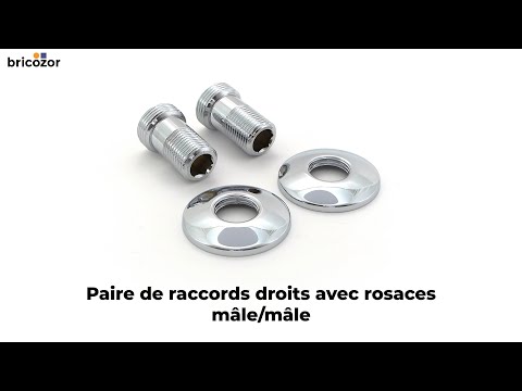 Paire de raccords droits avec rosaces - mâle/mâle RIQUIER