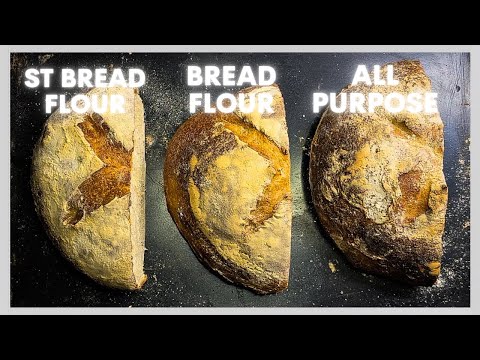 What’s the Best Flour for Bread? (AP vs Bread vs Strong Bread Flour Test)