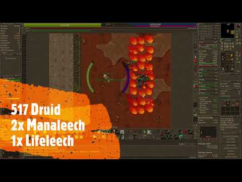 Trying to beat The tibiadrome ELDER DRUID 517. Tibia