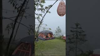 Download lagu CAMPING BARENG TEMAN-TEMAN | HALU STORY #shorts #storyhalu #storyig #storywa mp3 Download lagu CAMPING BARENG TEMAN-TEMAN | HALU STORY #shorts #storyhalu #storyig #storywa mp3