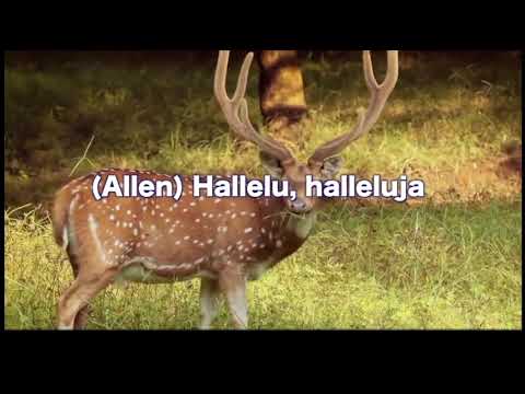 Opwekking 40 zoek eerst het koninkrijk