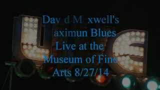 David Maxwell's Maximum Blues Live @ The Museum of Fine Arts Boston 8/27/14