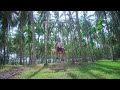 சிலுக்குவார் பட்டி சிங்கம் யோகிபாபு 