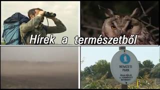 TERMÉSZET HÍREI