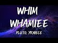 PLUTO WHIM WHAMIEE Instrumental