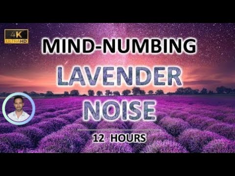 Mind-numbing Lavender Noise | 12 Hours BLACK SCREEN | Study, Sleep, Tinnitus Relief and Focus
