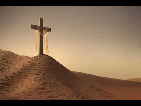 SalzLiebe - In der Wüste 