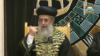 אכילת בשר שנשאר משבת בתשעת הימים I מרן הראשון לציון הגאון רבי דוד יוסף שליט"א (מוסדות יחווה דעת) - התמונה מוצגת ישירות מתוך אתר האינטרנט יוטיוב. זכויות היוצרים בתמונה שייכות ליוצרה. קישור קרדיט למקור התוכן נמצא בתוך דף הסרטון