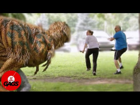 T-Rex Attack Scares Couple | Just For Laughs Gags