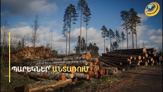 Ամրակցված զենք, սաղավարտ, պաշտպանիչ միջոցներ. ի՞նչ է փրկելու էկոպարեկը