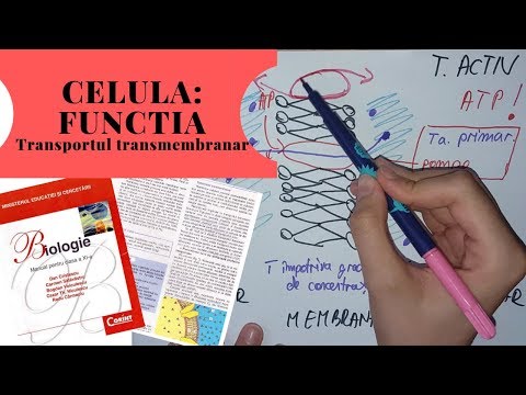 ADMITERE MEDICINA: CELULA -FUNCTIE- Partea 2/3