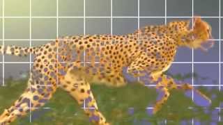 Plaid - Slam (Reachy Prints)