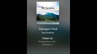 Download lagu Karaoke lagu digonggom tondi mp3