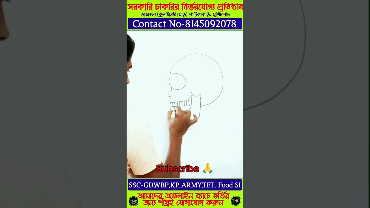 🔥🔥Human Skull simple Drawing ❤️❤️