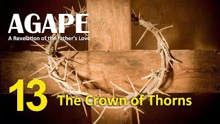 A13 The Crown of Thorns