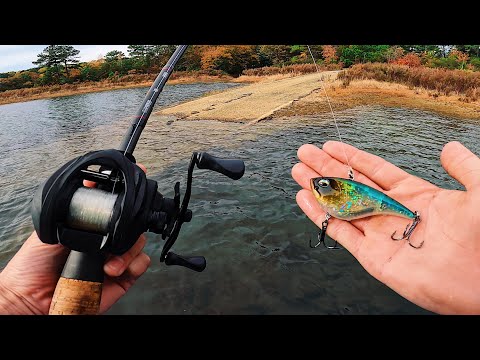 Watch Ripping Baits As Fast As I Can To Catch Fish