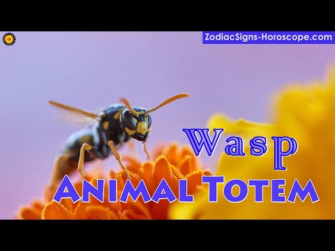 Wasp Animal Totem - Wasp Spirit Animal Meaning, Symbolism, Dream of the Wasp Totem