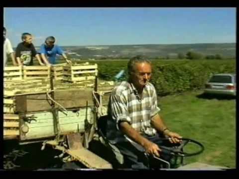 Zmijavci junački i divojački 3.dio