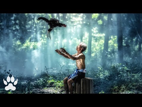 Equalize - Where We Belong