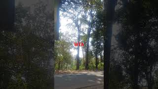 Download lagu Arah dungus,warung rujak petis,di jamin mantul,bisa di cobaa mp3