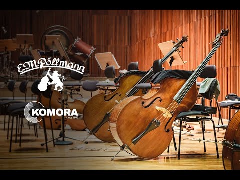 Контрабас Pöllmann Rivolta