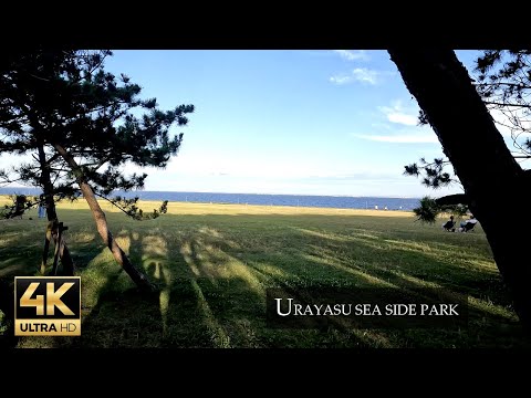 The Takasu Seaside Park - Japan's Perfect Place to Enjoy the Beach -  chiba japan
