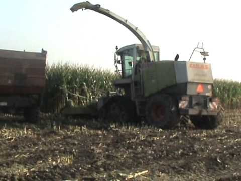 Loonw. Gepa - Torhout