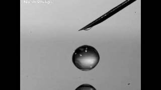 ‘Stuiterende’ waterdruppels