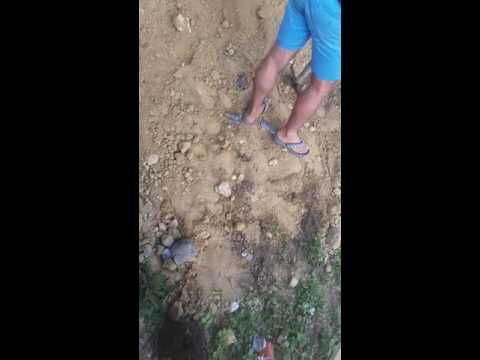 Cudla ionut celentano din talpigi cel mai harnic om ???!!