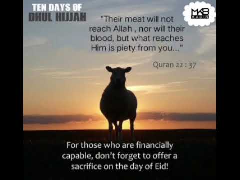 Advice of the day ~ Ten days of DHUL HIJJAH {EP11} (Quran 22 : 37)