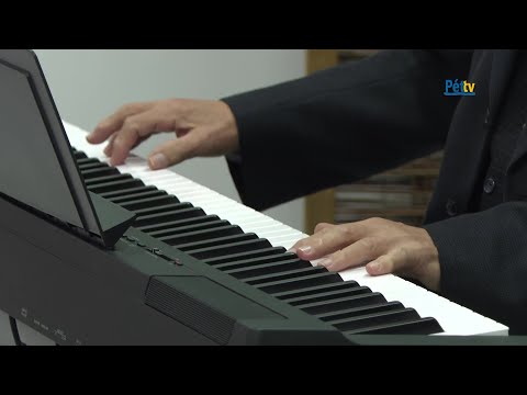 Visszatekintő 7. rész: Zenés programok Pétfürdőn