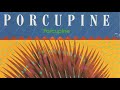 Porcupine - Dalto