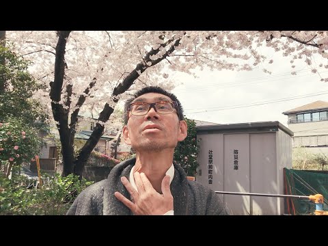 映画『だってしょうがないじゃない』予告編