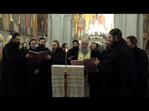 Mâna ta care s-a atins de preacuratul creștet al Stăpânului