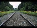 Snakefarm - This Train I Ride (Gus Gus Remix)