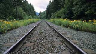 Snakefarm - This Train I Ride (Gus Gus Remix)