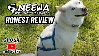 Neewa Pro Sled Dog Harness Review: Does It Really Work?
