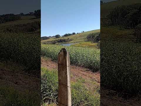 estrada de socorro que vai para cidade de Toledo Minas gerais 😊