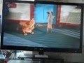 Garfield And Odie Dance To Hey Mama