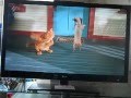 Garfield and Odie dance to Hey mama 