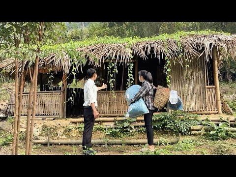 Gütiger CEO schenkt obdachloser alleinerziehender Mutter ein verlassenes Bambushaus. Eine Liebesgesc