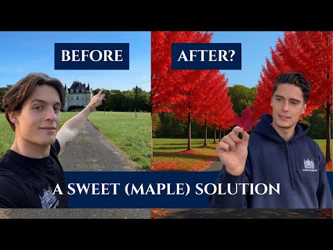 Chateau Poseidon - Episode 18: A Sweet (Maple) Solution