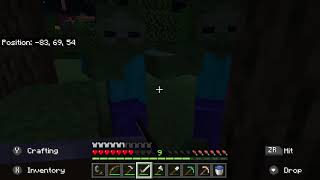 In a land called minecraft...