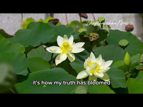 No Mud, No Lotus – Diepthaochau | Blooming From Within (Official Lyric Video)