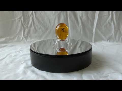 MOSQUITO AMBER EGG - DINO FOSSIL - JURASSIC PARK!