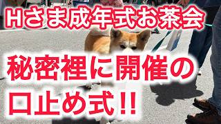 Hさま成年式お茶会　秘密裡に開催の口止め式 ! !